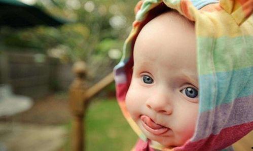 娱乐吃瓜酱花园宝宝,揭秘娱乐圈的甜蜜萌娃